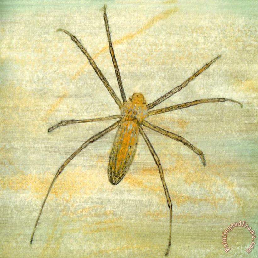 Sugar Bug V painting - Sia Aryai Sugar Bug V Art Print