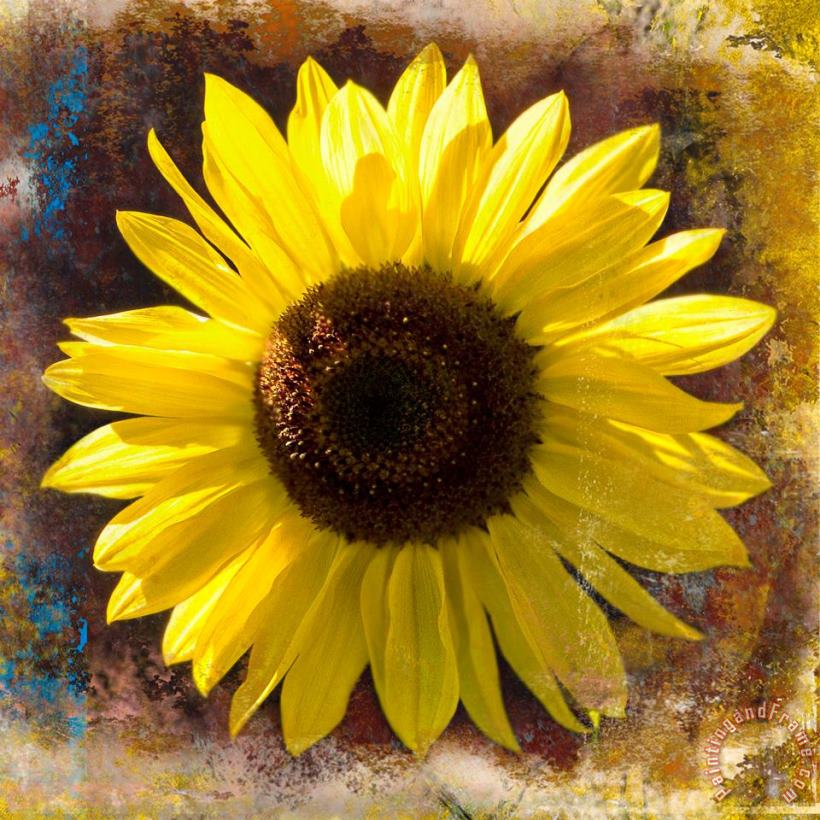 Sia Aryai Sunflower Yellow Art Painting