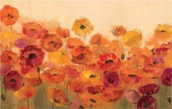 Silvia Vassileva Summer Poppies