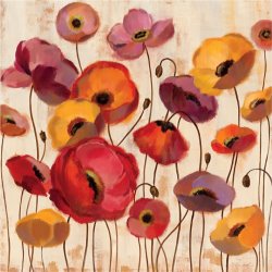 Silvia Vassileva Sunrise Anemones