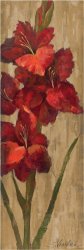 Silvia Vassileva Vivid Red Gladiola on Gold