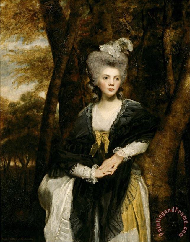 Lady Frances Finch painting - Sir Joshua Reynolds Lady Frances Finch Art Print