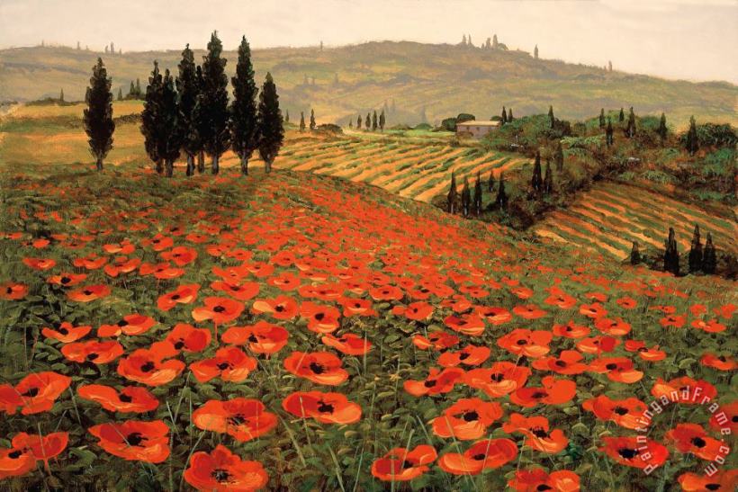 Hills of Tuscany I painting - Steve Wynne Hills of Tuscany I Art Print