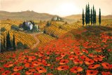 Hills of Tuscany II by Steve Wynne