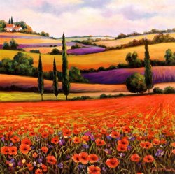 T. C. Chiu Fields of Poppies I