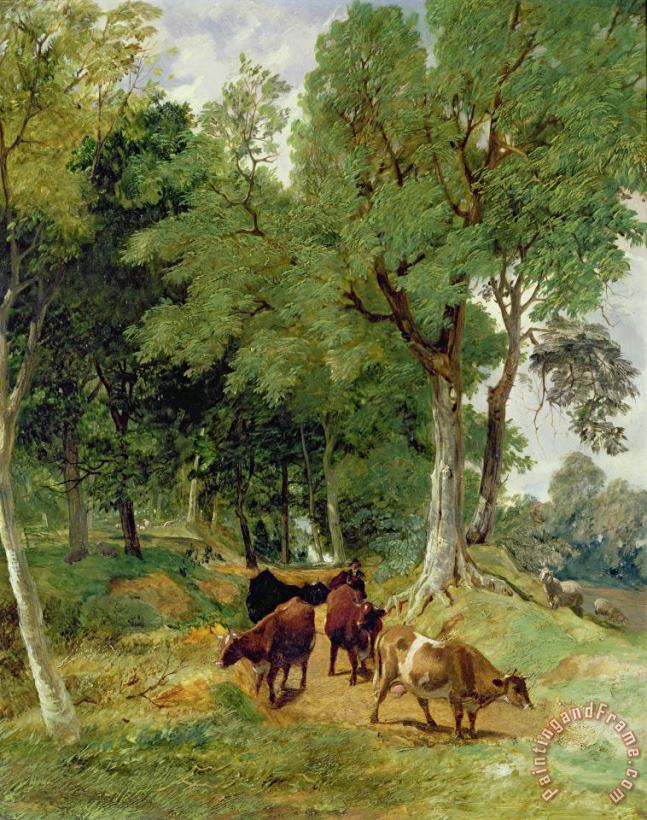 Cattle on a Devonshire painting - T S Cooper and F R Lee Cattle on a Devonshire Art Print