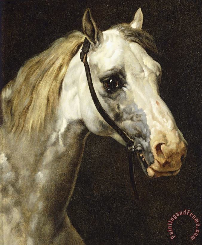 Head of a Piebald Horse painting - Theodore Gericault Head of a Piebald Horse Art Print