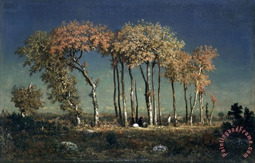 Under The Birches, Evening painting - Theodore Rousseau Under The Birches, Evening Art Print