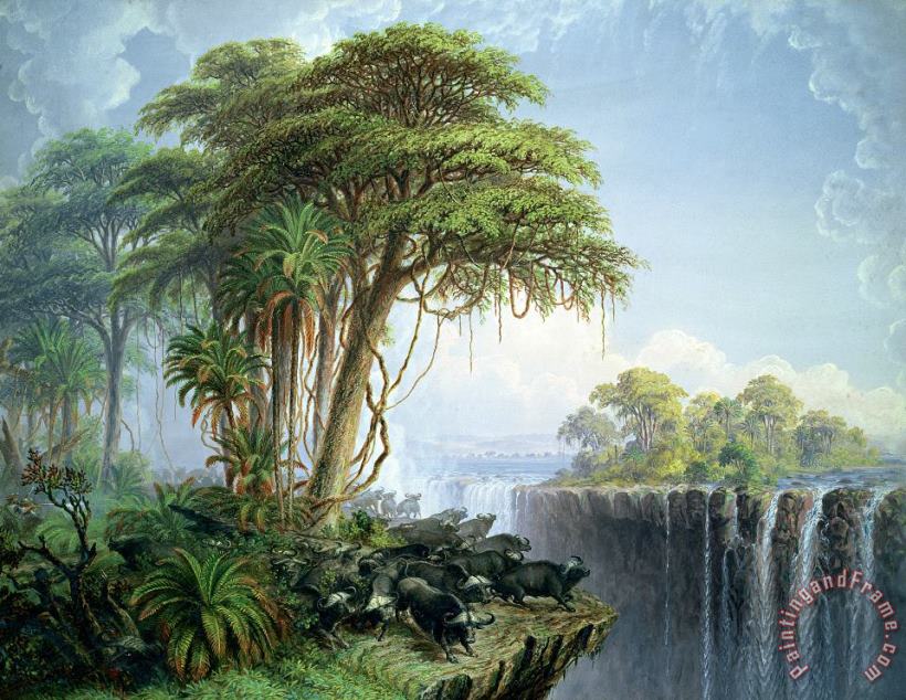 Buffalos Driven To The Edge Of The Chasm Opposite Garden Island Victoria Falls painting - Thomas Baines Buffalos Driven To The Edge Of The Chasm Opposite Garden Island Victoria Falls Art Print