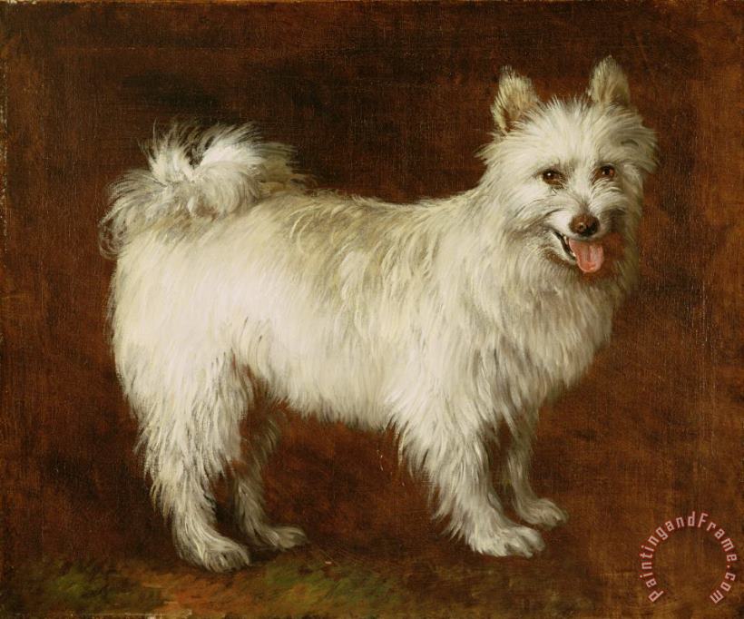 Spitz Dog painting - Thomas Gainsborough Spitz Dog Art Print