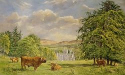 Tim Scott Bolton Bulls at Balmoral