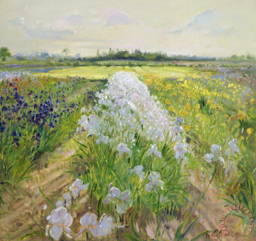 Down the Line painting - Timothy Easton Down the Line Art Print