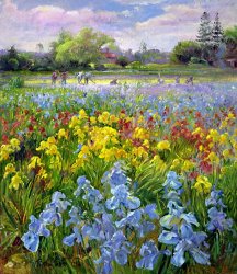 Timothy Easton Hoeing Team and Iris Fields