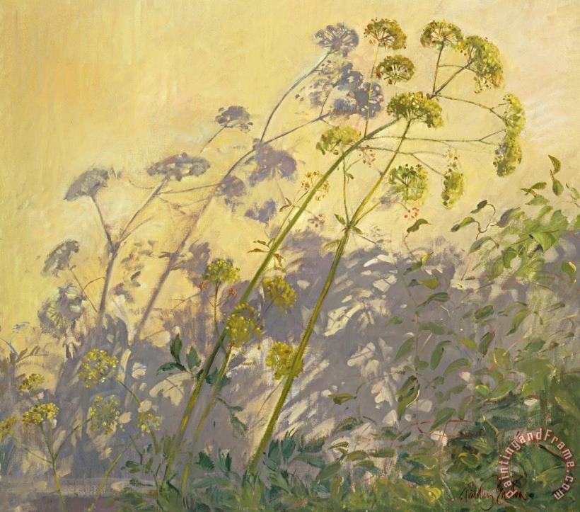Lovage Clematis And Shadows painting - Timothy Easton Lovage Clematis And Shadows Art Print