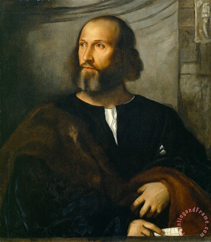 Titian  Portrait of a Bearded Man Art Print