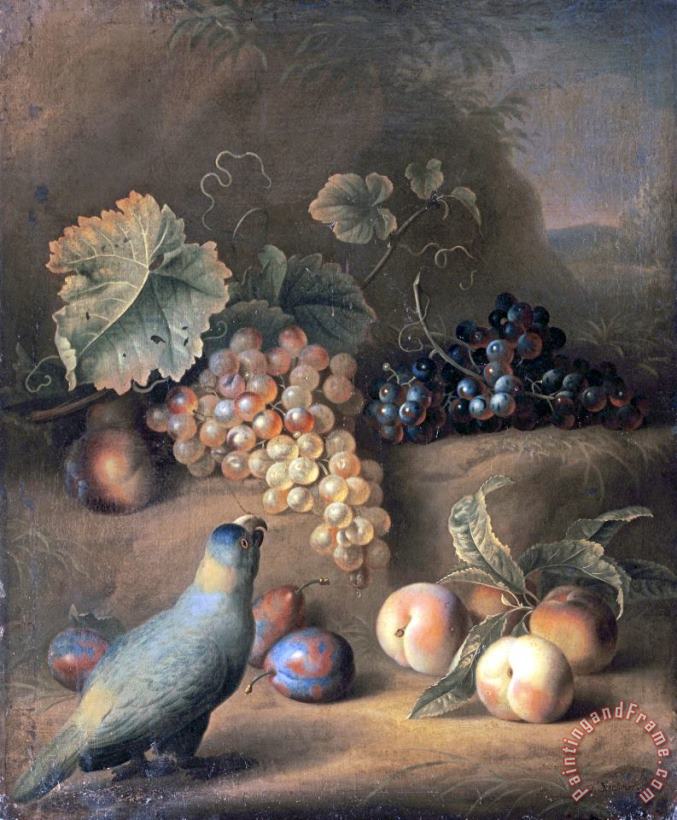 A Parrot with Grapes, Peaches And Plums in a Landscape painting - Tobias Stranovius A Parrot with Grapes, Peaches And Plums in a Landscape Art Print