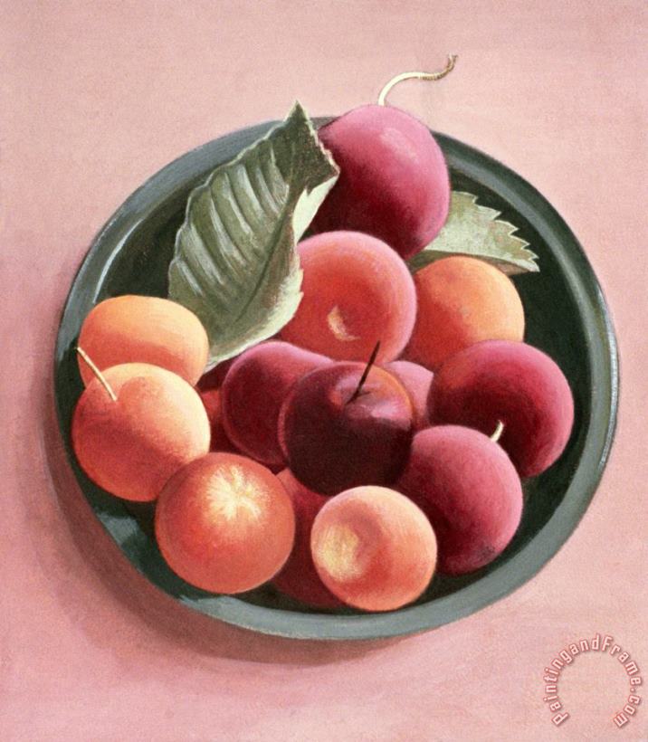 Tomar Levine Bowl Of Fruit Art Painting