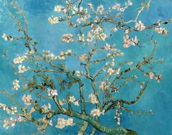 Vincent van Gogh - Almond Branches In Bloom painting