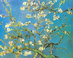 Vincent van Gogh - Blossoming Almond-branches painting