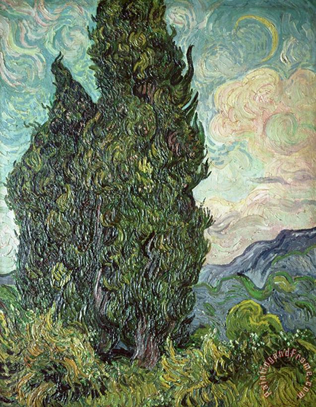 Vincent Van Gogh Cypresses Art Print
