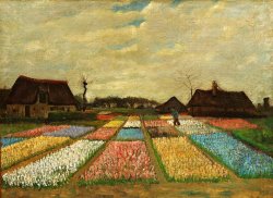 Vincent van Gogh Flower Beds in Holland