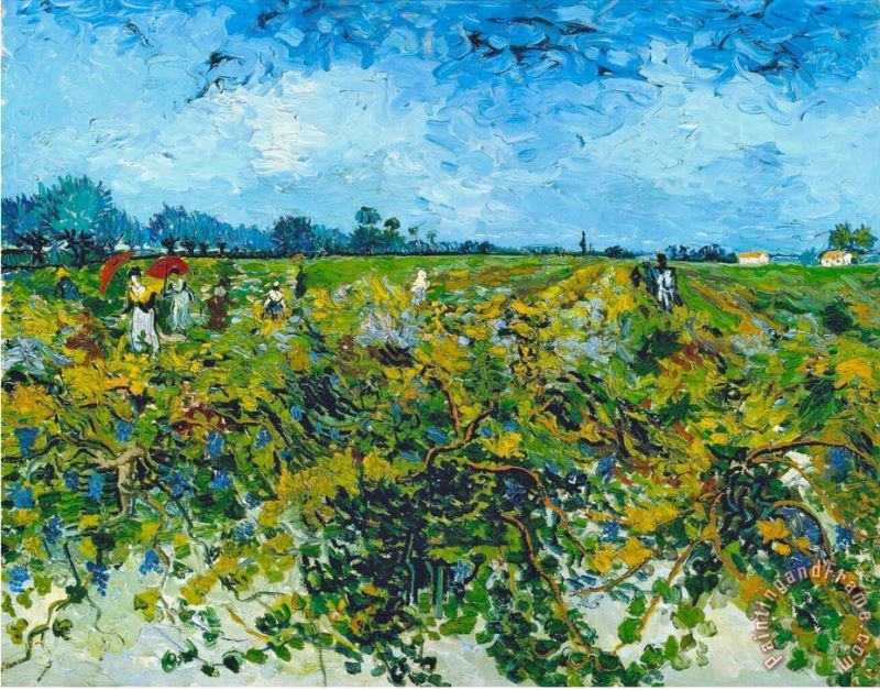 Green Vineyard painting - Vincent van Gogh Green Vineyard Art Print