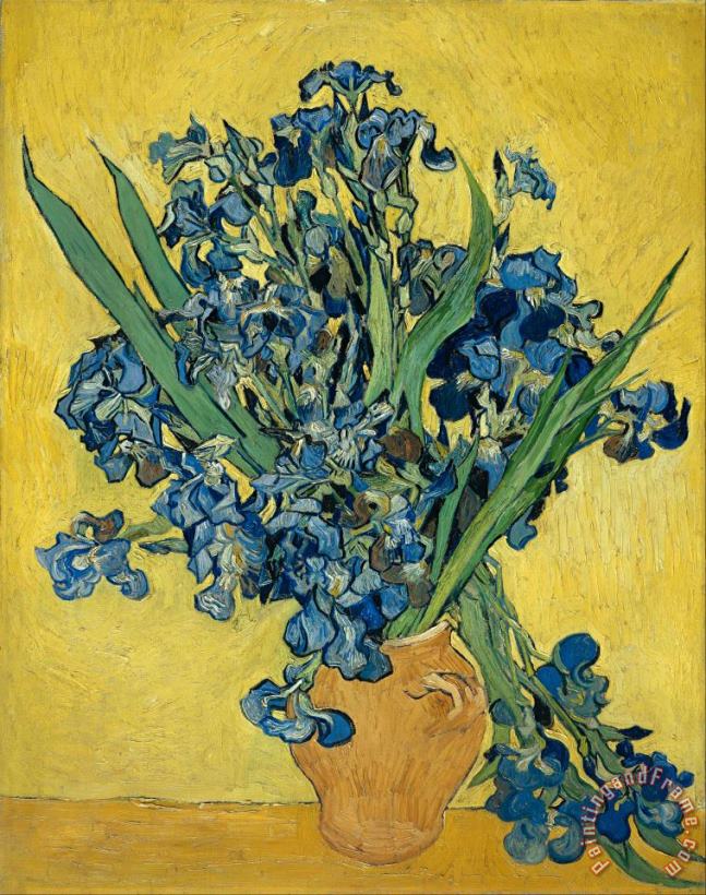 Vincent van Gogh Irises Art Painting
