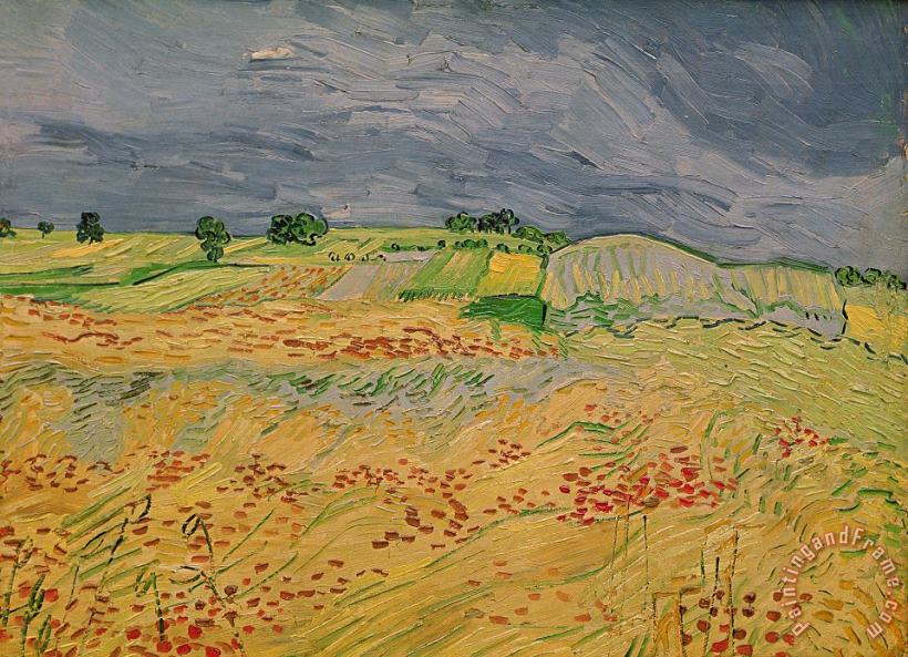 Vincent van Gogh Plain At Auvers Art Painting