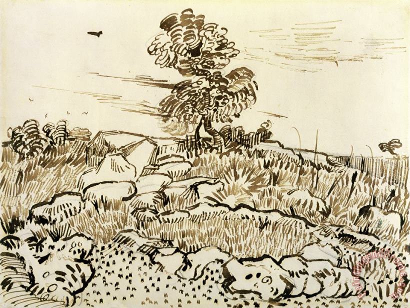Vincent van Gogh Rocky Ground at Montmajour Art Print