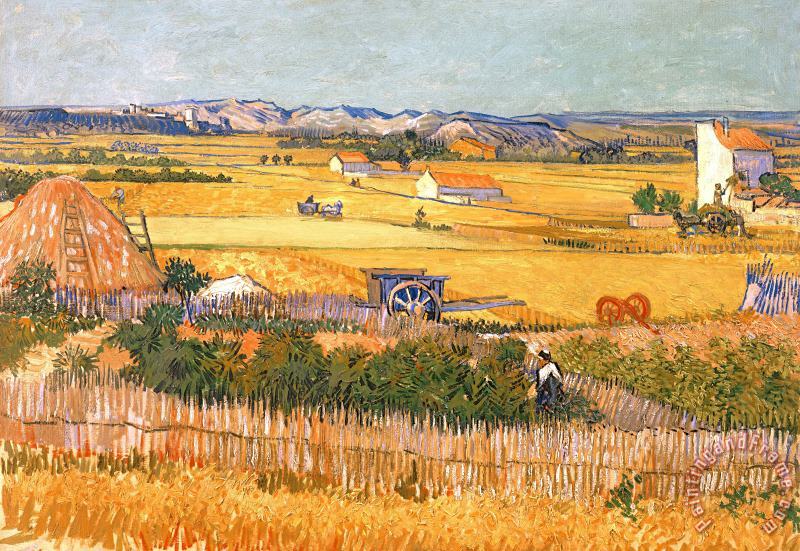 Wheatfields painting - Vincent van Gogh Wheatfields Art Print