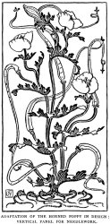 Walter Crane Horned Poppy In Design Line Drawing