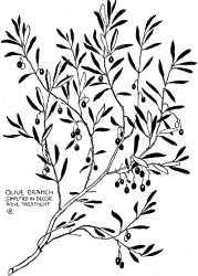 Walter Crane Olive Branch Simplified In Decor