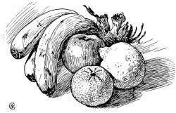Walter Crane Pen Drawing Of Fruit
