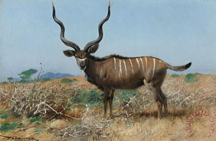 Wilhelm Kuhnert Antelope Art Painting