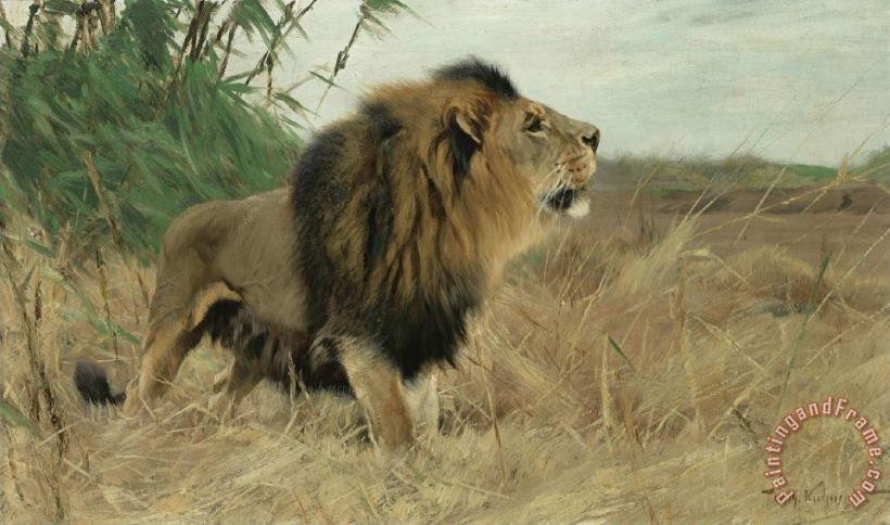 Berber Lion painting - Wilhelm Kuhnert Berber Lion Art Print