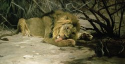 Wilhelm Kuhnert Lion Reclining in a Landscape