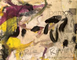 Willem De Kooning Paris Review, 1979