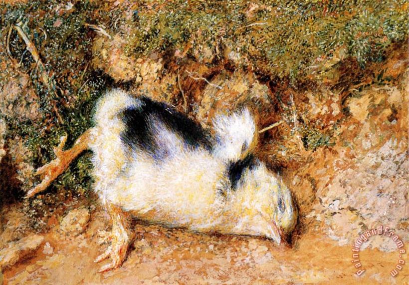 John Ruskin's Dead Chick painting - William Henry Hunt John Ruskin's Dead Chick Art Print