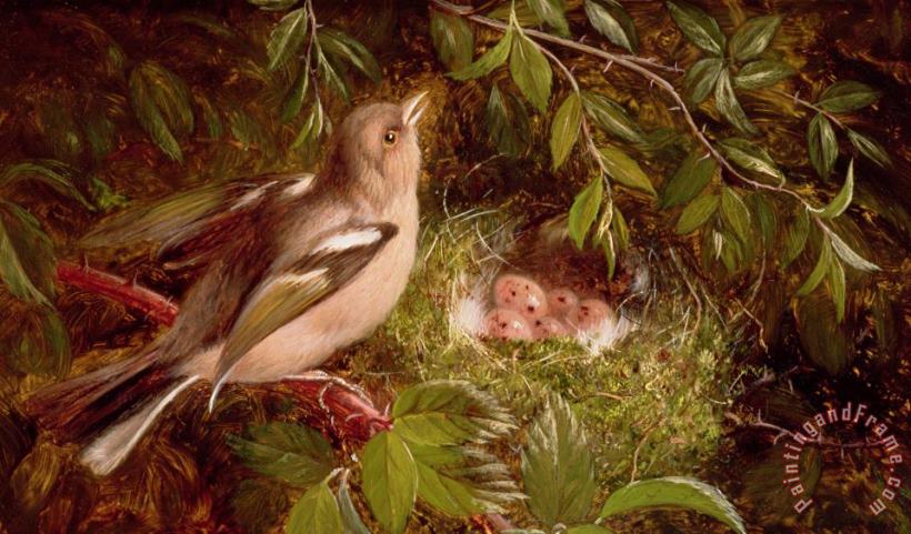 William Hughes A Chaffinch at its Nest Art Painting