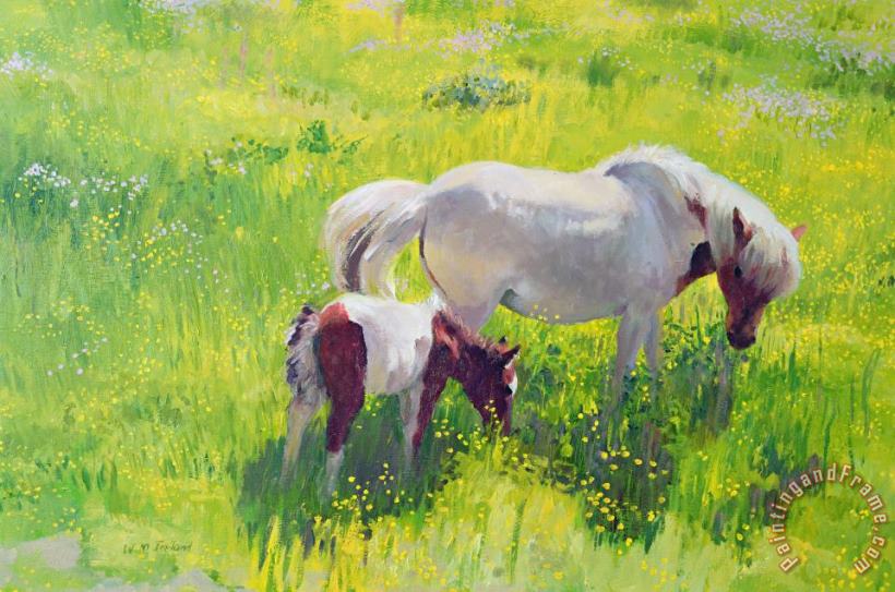 William Ireland Piebald horse and foal Art Print