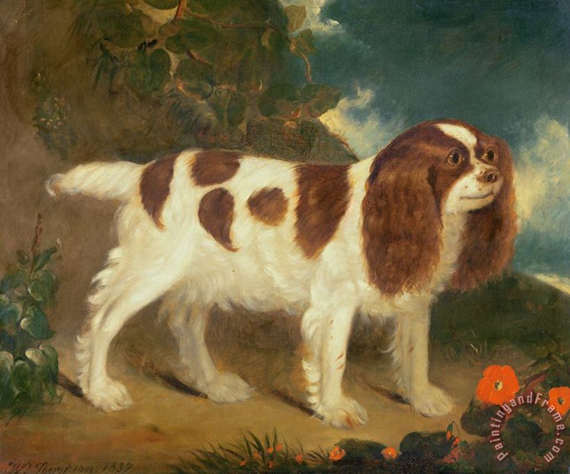 William Thompson King Charles Spaniel Art Painting