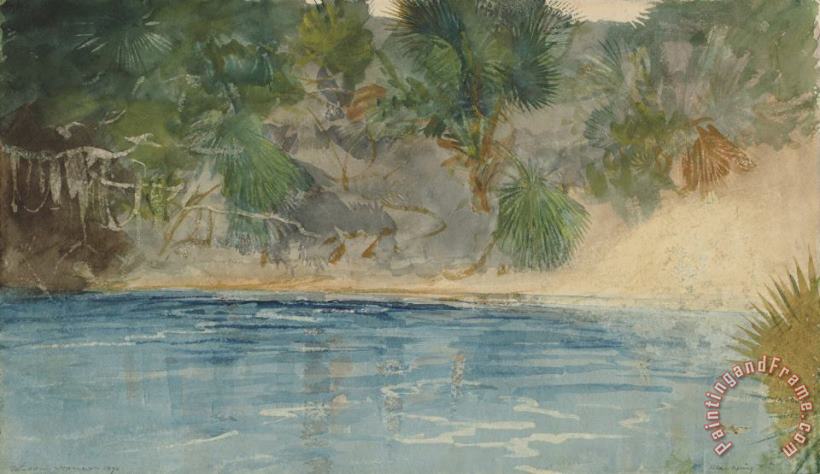 Winslow Homer Blue Spring, Florida Art Print