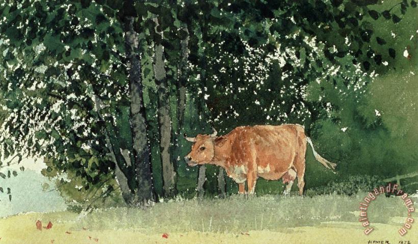 Winslow Homer Cow in Pasture Art Painting