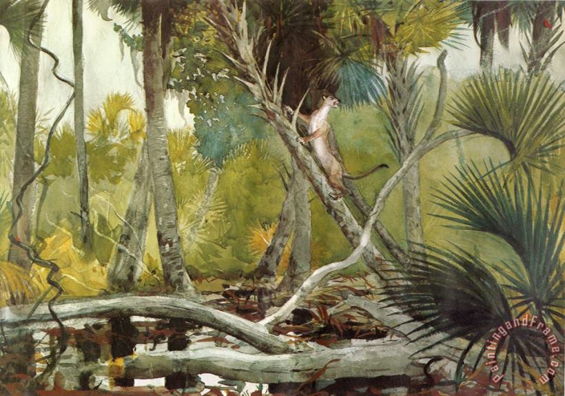 Winslow Homer In The Jungle, Florida Art Painting