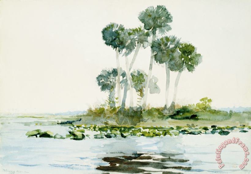Winslow Homer St. Johns River, Florida Art Print