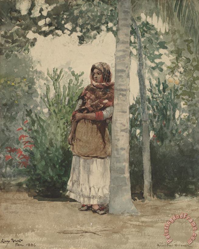 Winslow Homer Under a Palm Tree Art Painting