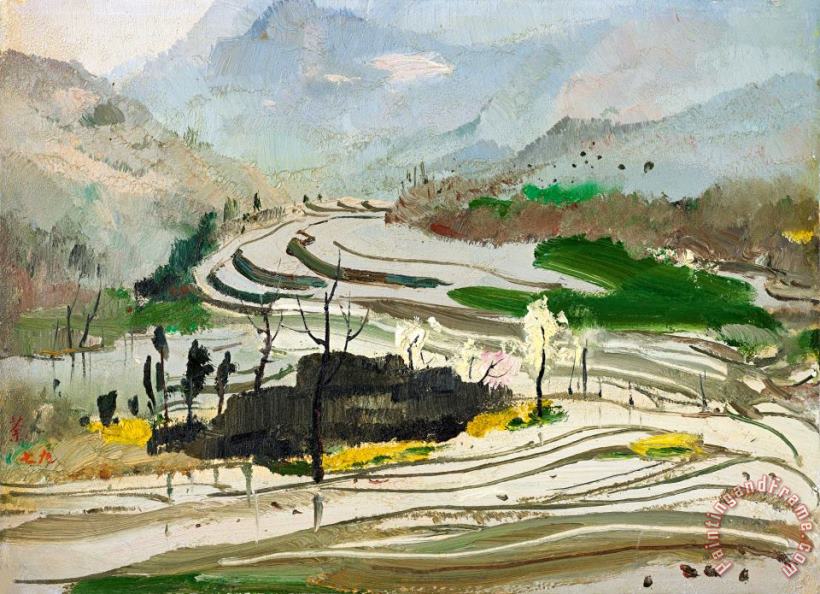 Rice Paddies of Central Sichuan, 1979 painting - Wu Guanzhong Rice Paddies of Central Sichuan, 1979 Art Print