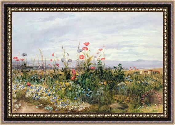 A Nicholl Wildflowers with a View of Dublin Dunleary Framed Print