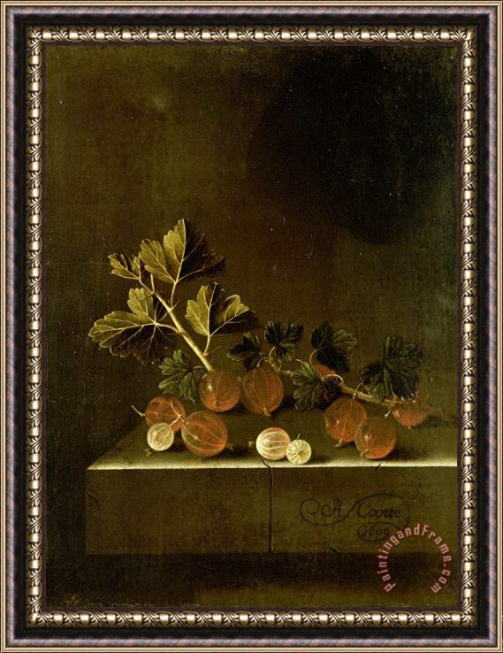 Adriaen Coorte A Sprig of Gooseberries on a Stone Plinth Framed Print