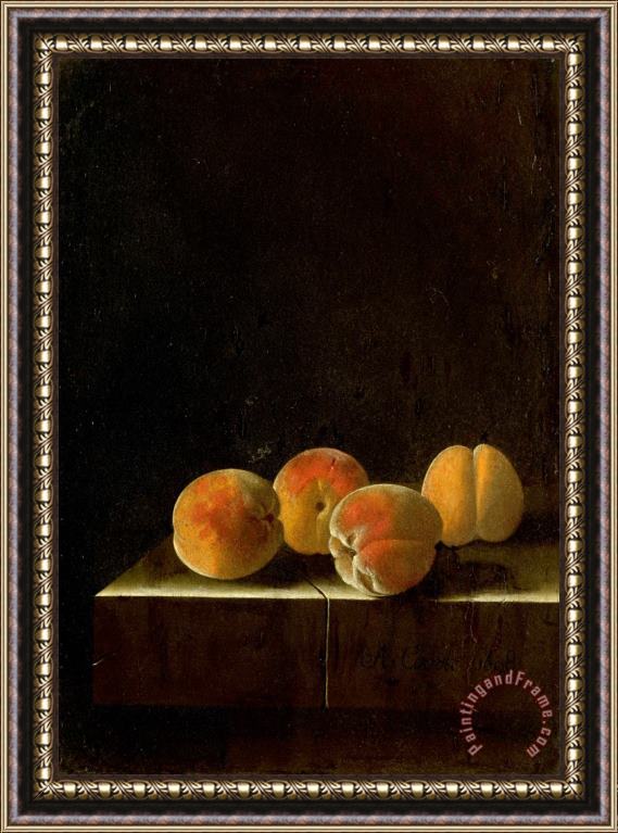 Adriaen Coorte Four Apricots on a Stone Plinth Framed Painting